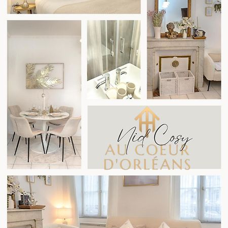 Le Nid Cosy -Au Coeur D'Orleans Διαμέρισμα Εξωτερικό φωτογραφία